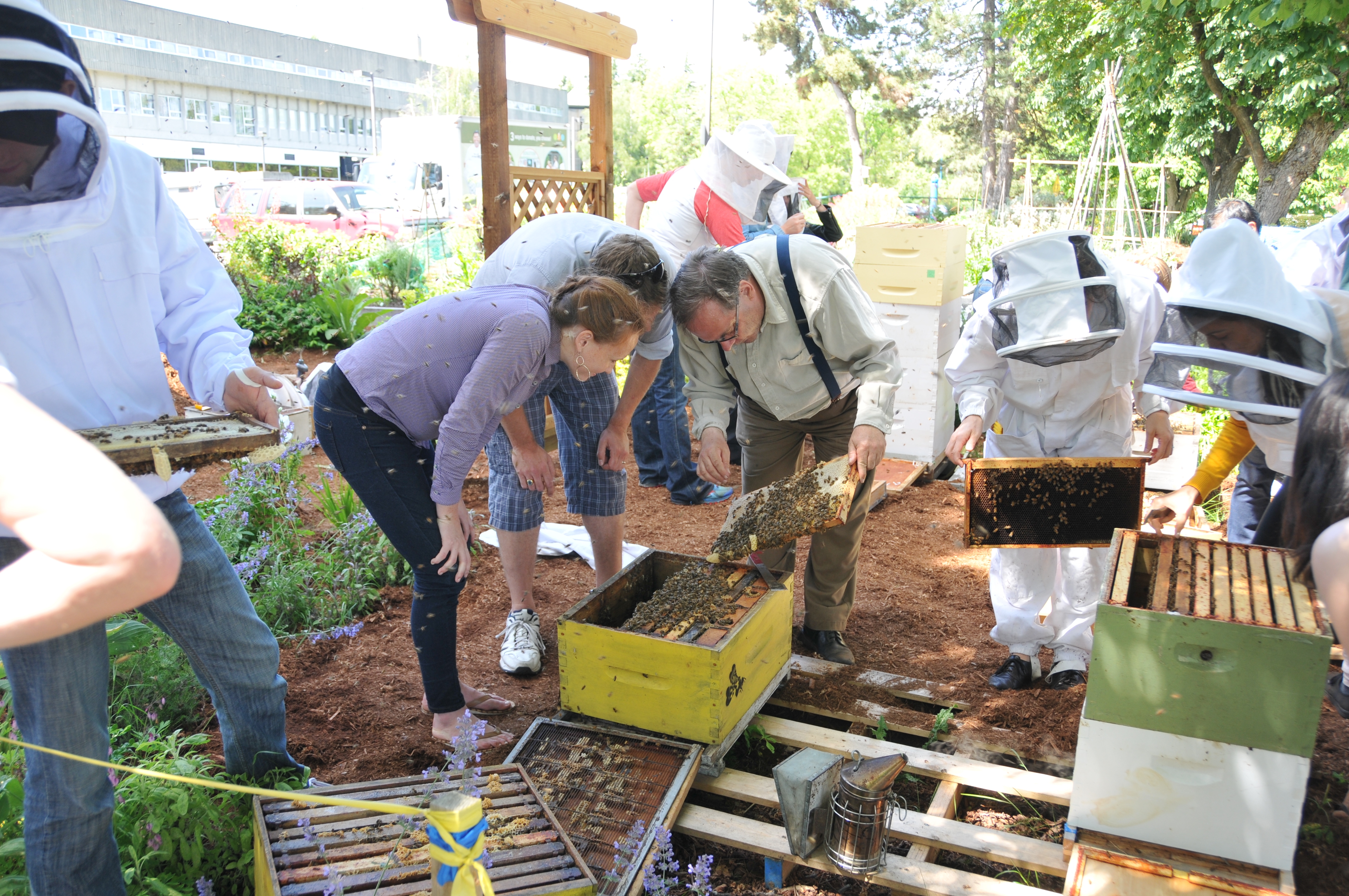 langara-beekeeping